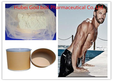 China 50-41-9 Antiöstrogen-Steroide Clomid, weißes rohes Steroid-Pulver SERM fournisseur