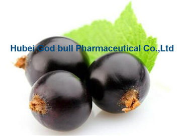China Dunkler purpurroter Ribes Nigrum L Auszug der schwarzen Johannisbeere für alterndes AntiCAS 84082-34-8 fournisseur