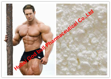 China Pharmazeutische Zus des Testosteron-anabolen Steroids/des Muslce-Gewinn-Hormons 99%, ISO9001 fournisseur
