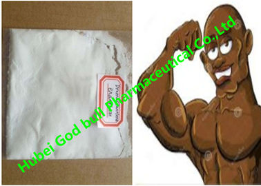 China Rohe Pulver-aufbauendes injizierbares Steroid 200mg Masteron Dromostanolone Enanthate fournisseur