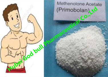 China Muskel Primobolan der Methenolone-Azetat-androgener anabolen Steroide 207-097-0 fournisseur