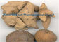 Granatapfel-Auszug-Punica granatum L Browns verhindern Ellagic saure Darmkrebs fournisseur