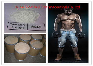 China 315-37-7 pharmazeutisches Testosteron-anaboles Steroid, legales Testosteron Enanthate-Pulver fournisseur