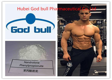 China Steroid-rohes Pulver 62-90-8 Nandrolone Phenylpropionate Deca Durabolin fournisseur