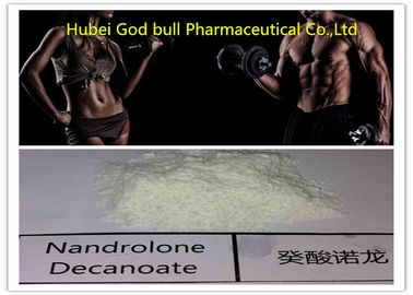 China 360-70-3 Steroid Decas Durabolin, medizinische Muskel-Gebäude-anabole Steroide fournisseur