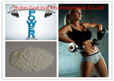 China 58-20-8 Body Building-Testosteron-anaboles Steroid, gesundes Testosteron Cypionate-Steroid fournisseur