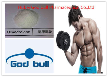 China Pulver CAS 1045-69-8 des Testosteron-Azetat-Testosteron-anabolen Steroids fournisseur
