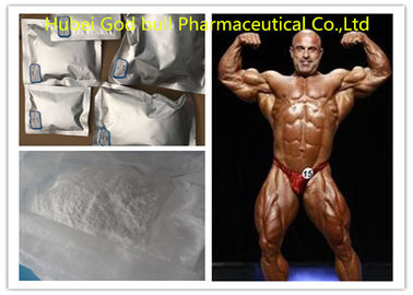 China Boldenone-Azetat-Steroid-rohe Pulver-Quelle für Muskel-Wachstum CAS 2363-59-9 fournisseur
