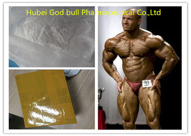China Bodybuilding-Testosteron-anaboles Steroid, weißes rohes Steroid-Pulver Andropen 275 fournisseur