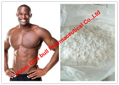 China Testosteron Undecanoate/niedrig Testosteron-anaboles Steroid mit 99% Reinheit, weißes Pulver fournisseur