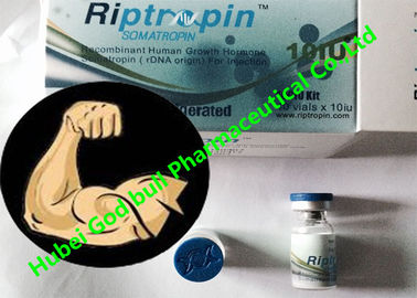 China Riptropin-menschliches Wachstumshormon Hgh bodybuildende 100iu-/Ausrüstungs-Safe-Lieferung fournisseur