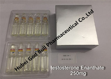 China Testosteron enanthate injizierbare Superqualität der Einspritzung 250mg/ml 1ml/vial anaboler Steroide fournisseur