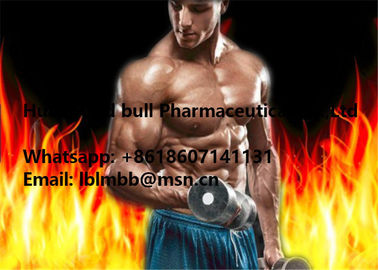 China Ganabol-Muskel-Massen-Steroide Equipoise Boldenone Undecylenate 13103-34-9 fournisseur