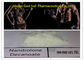 360-70-3 Steroid Decas Durabolin, medizinische Muskel-Gebäude-anabole Steroide fournisseur