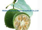 Fructus-Momordica Grosvenori-Swingle-Frucht-Auszug-Pulver CAS 88901-36-4 fournisseur