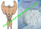Verringern aufbauende Androgensteroide Mund-Turinabol-Pulvers SHBG-Muskel Zyklus fournisseur